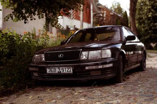 Casino Campo Bet Aip Android/iOS